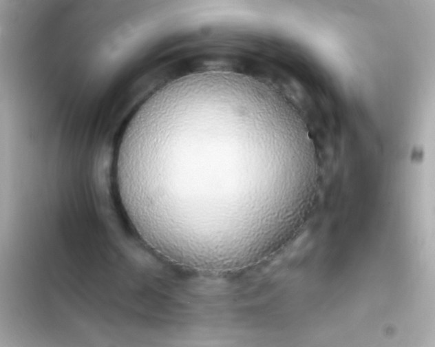 X0000103330194200809192212