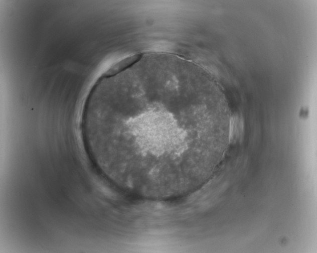 X0000103330195200809192212