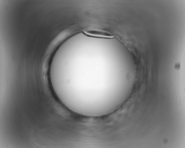 X0000103330197200809192212