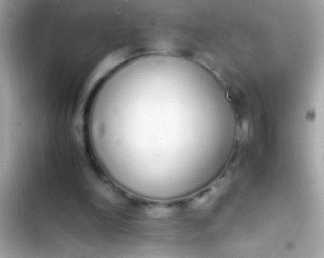 X0000103330198200809192212