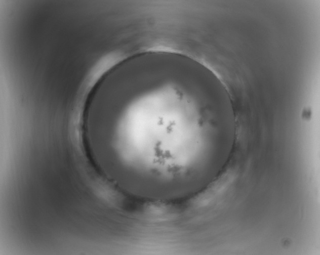 X0000103330199200809192212