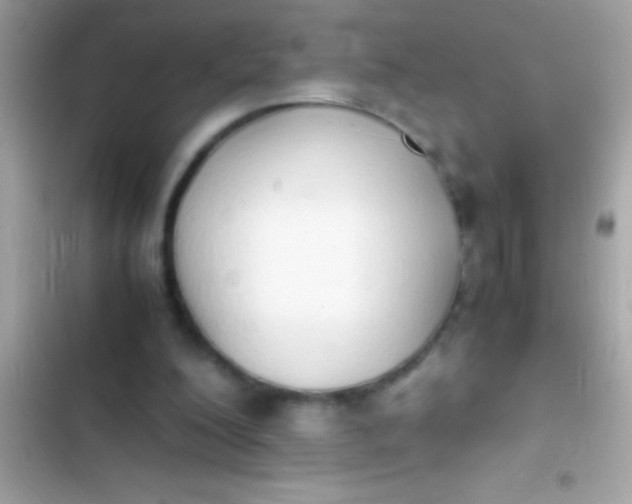 X0000103330200200809192212