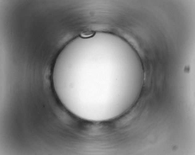 X0000103330201200809192212