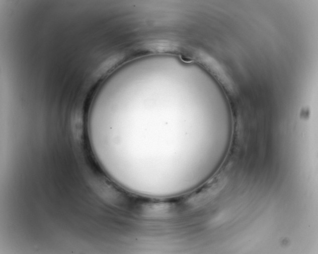 X0000103330202200809192212