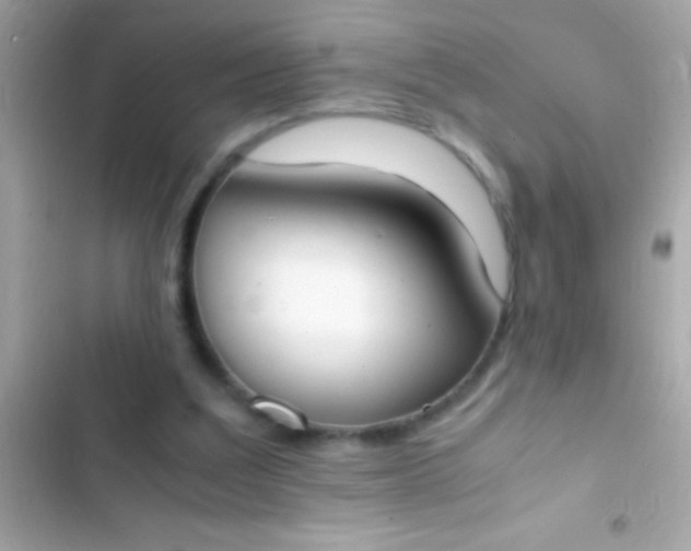 X0000103330203200809192212