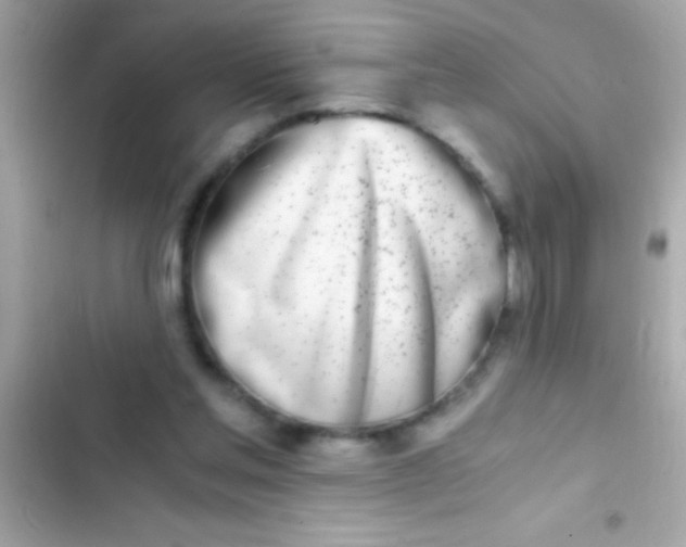 X0000103330205200809192212