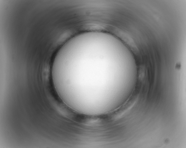 X0000103330206200809192212