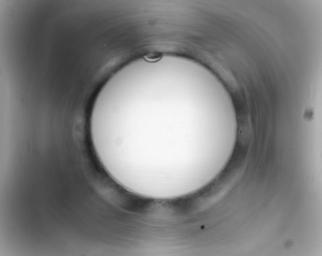 X0000103330207200809192212