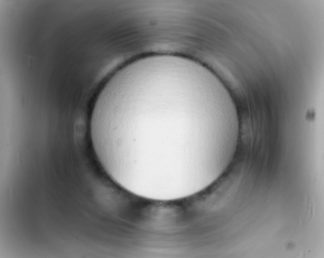 X0000103330208200809192212