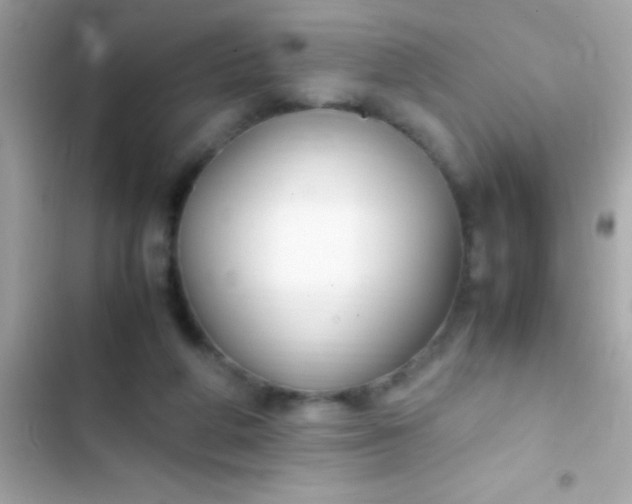 X0000103330210200809192212