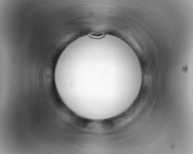 X0000103330211200809192212