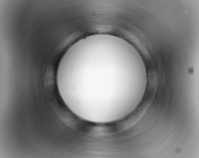 X0000103330212200809192212