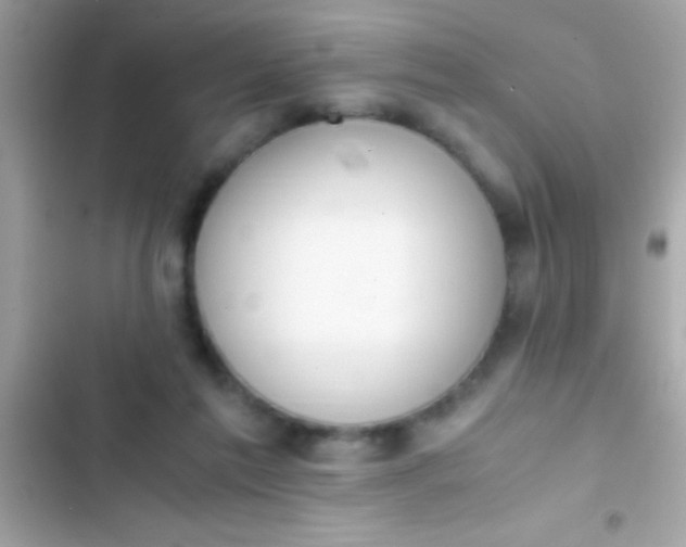 X0000103330213200809192212