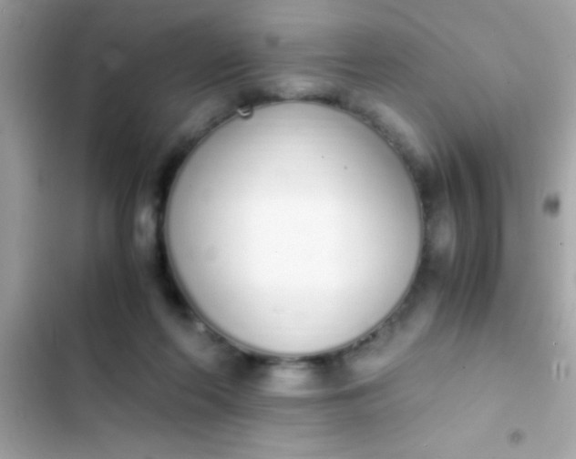 X0000103330214200809192212