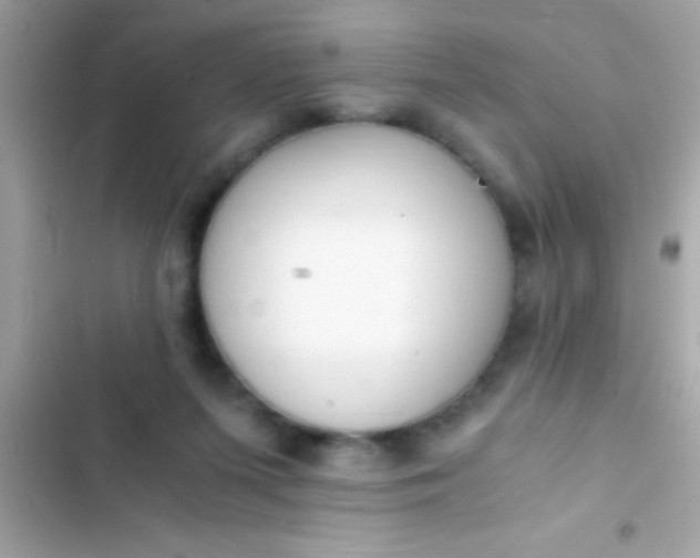 X0000103330215200809192212