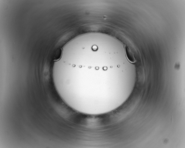 X0000103330216200809192212