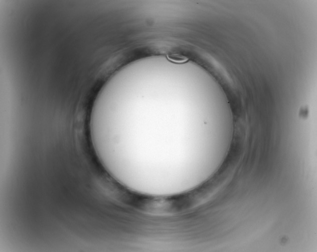 X0000103330217200809192212