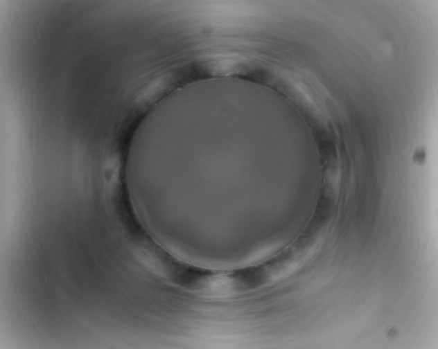 X0000103330219200809192212