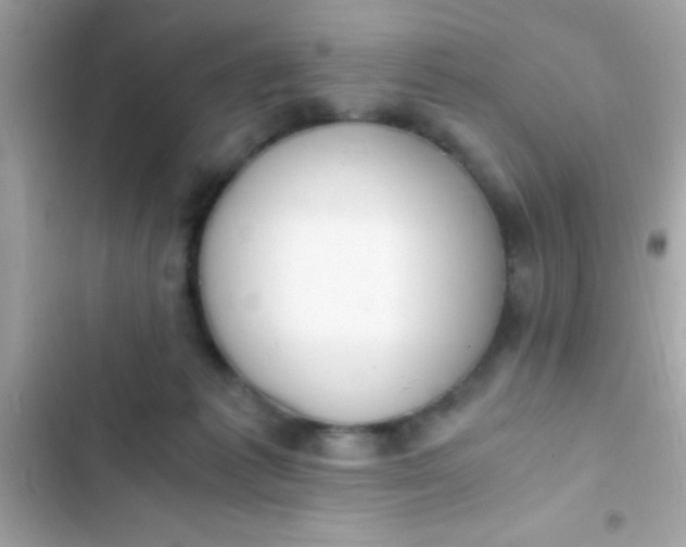 X0000103330221200809192212