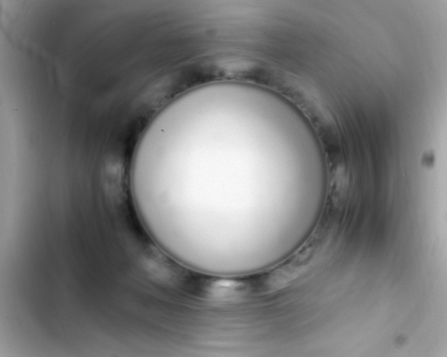 X0000103330222200809192212