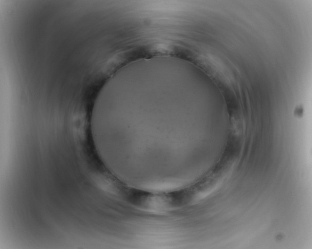 X0000103330223200809192212