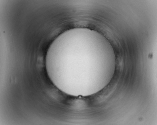 X0000103330224200809192212