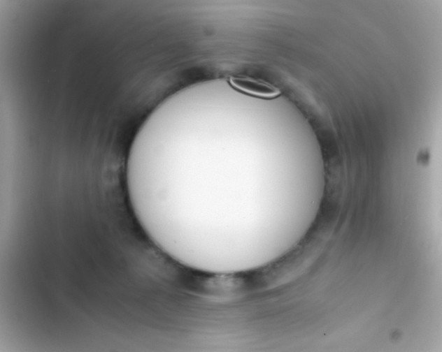 X0000103330225200809192212