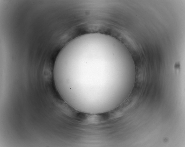 X0000103330226200809192212