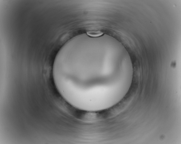 X0000103330227200809192212