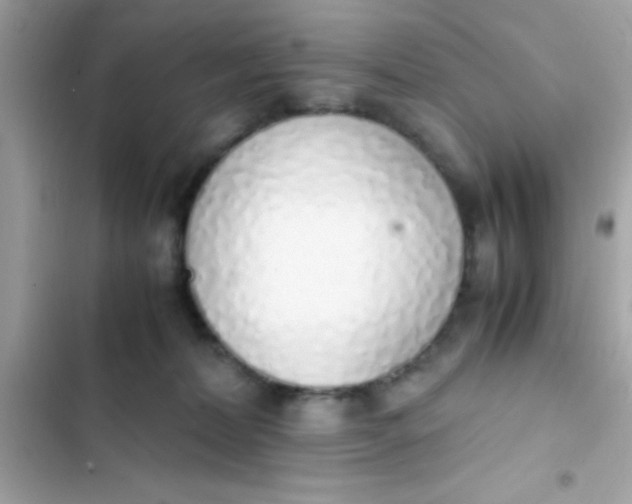 X0000103330228200809192212