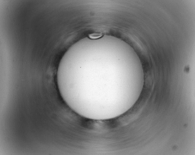 X0000103330229200809192212