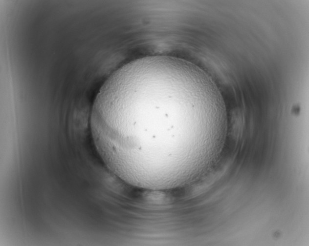 X0000103330230200809192212