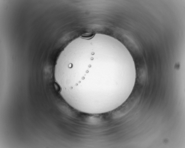 X0000103330232200809192212