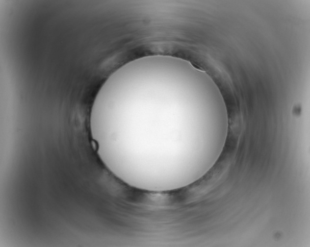 X0000103330233200809192212