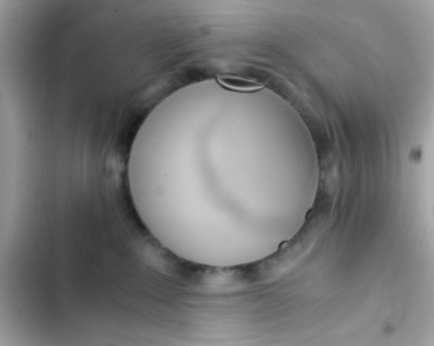 X0000103330235200809192212