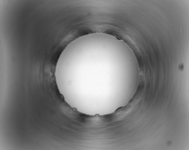 X0000103330237200809192212