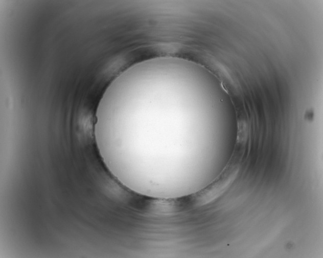 X0000103330238200809192212