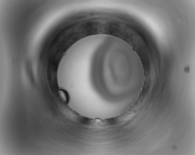 X0000103330239200809192212