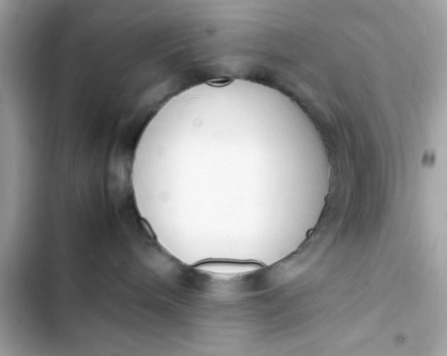 X0000103330240200809192212