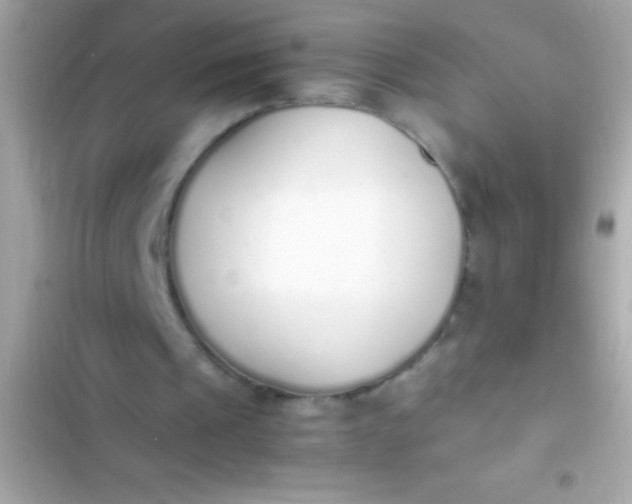 X0000103330241200809192211