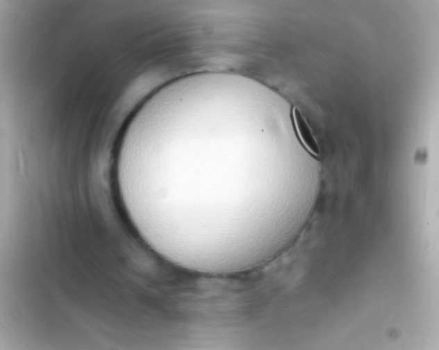 X0000103330242200809192211