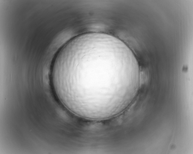 X0000103330243200809192211