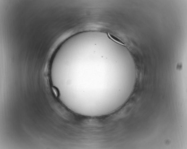 X0000103330244200809192211