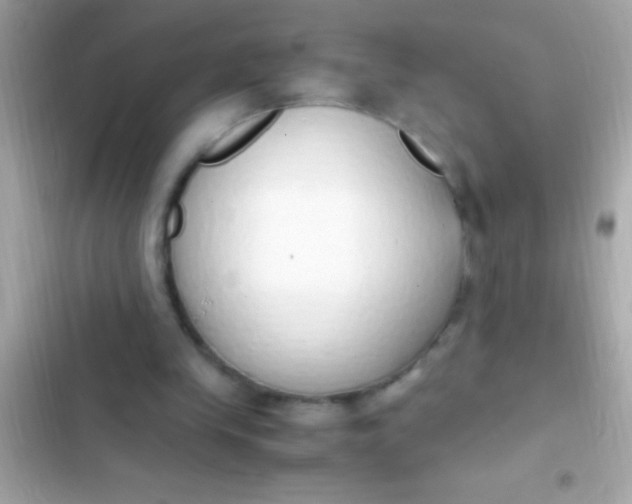 X0000103330245200809192211