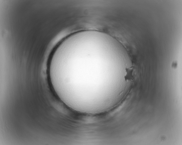 X0000103330246200809192211