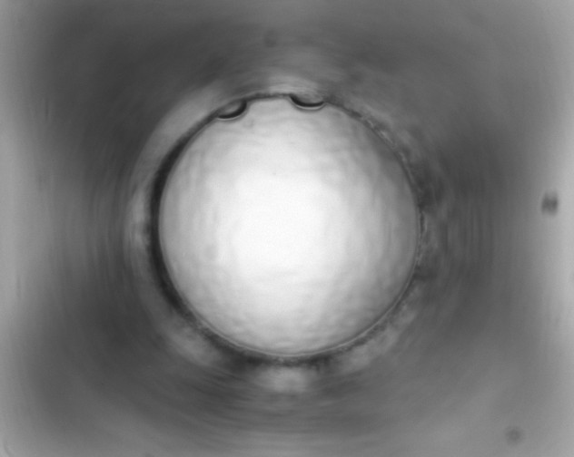 X0000103330247200809192211