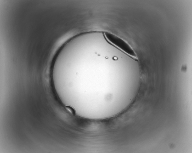 X0000103330248200809192211