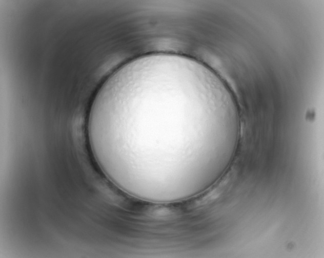 X0000103330249200809192211