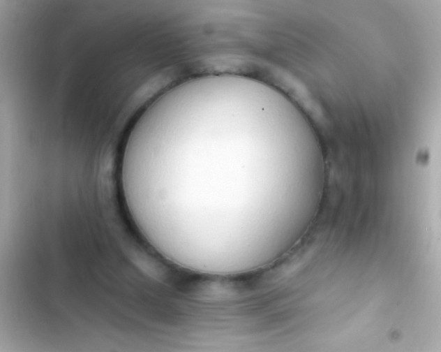 X0000103330250200809192211