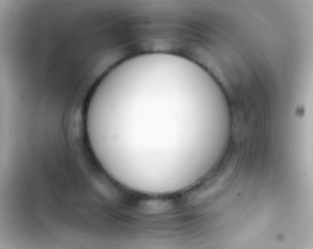 X0000103330251200809192211